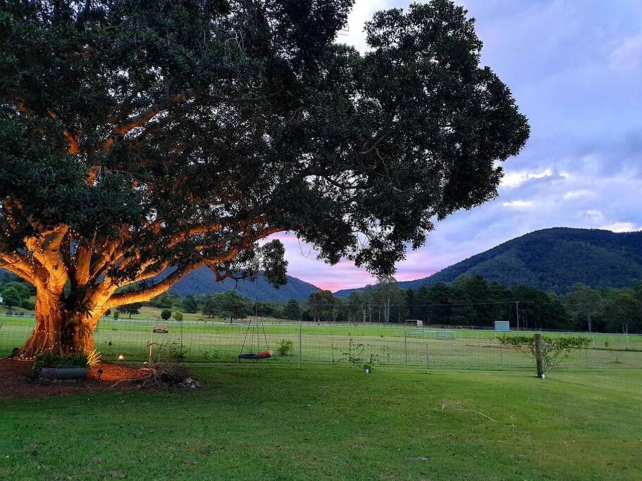 Fig Tree Farm B&B Highvale-Farmstay Near Brisbane! Buitenkant foto