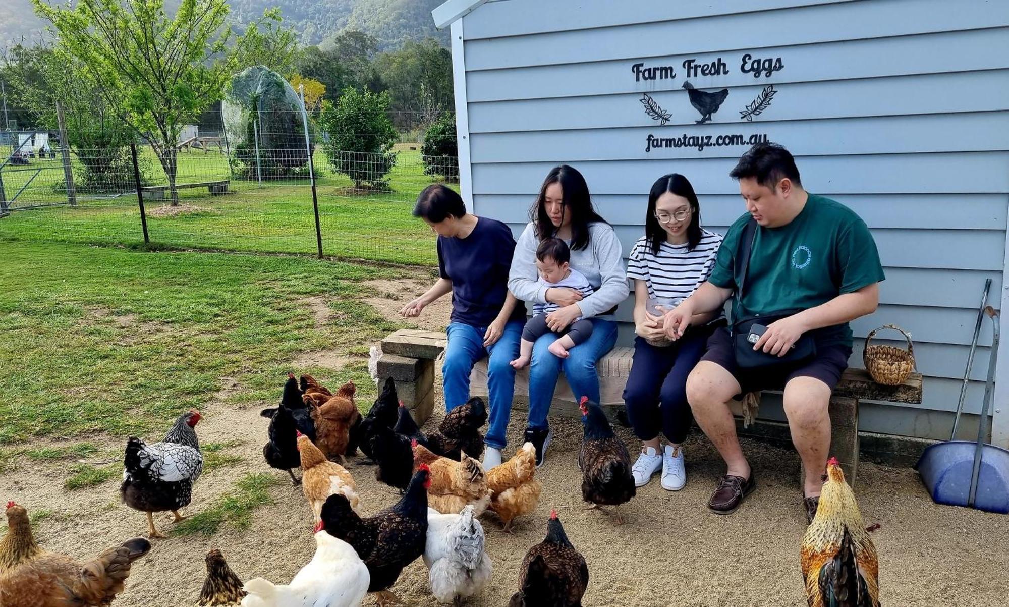 Fig Tree Farm B&B Highvale-Farmstay Near Brisbane! Buitenkant foto